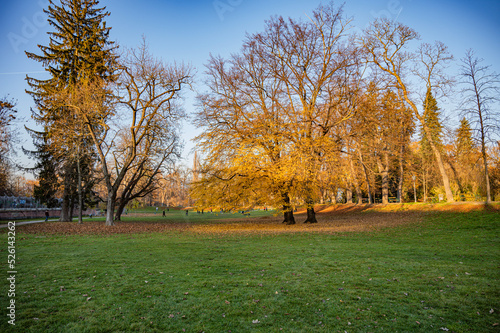 autumn in the park