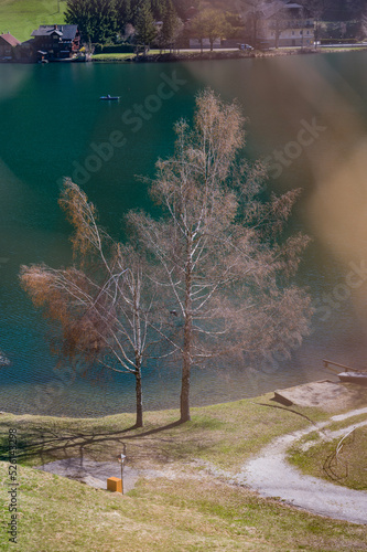 autumn in the park