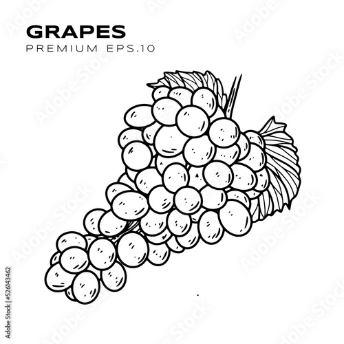 grapes illustration for vegetarians premium vector