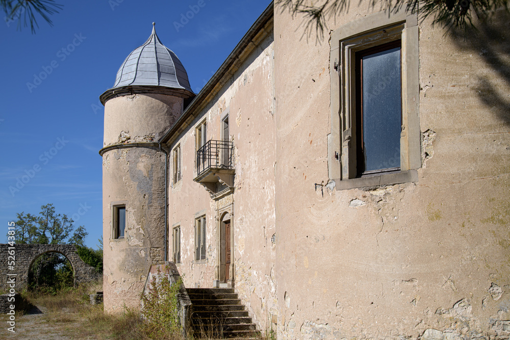 partie du château de Diedendorf en Alsace Bossue