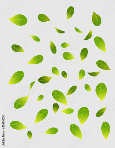 falling green leaves, black background, warm background, foliage, natural
