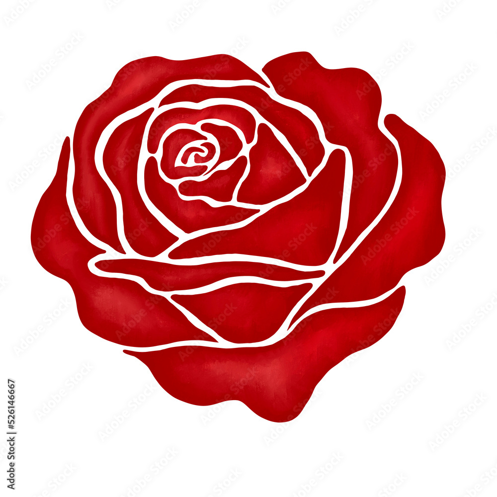 red rose flower illustration red rose flower illustration