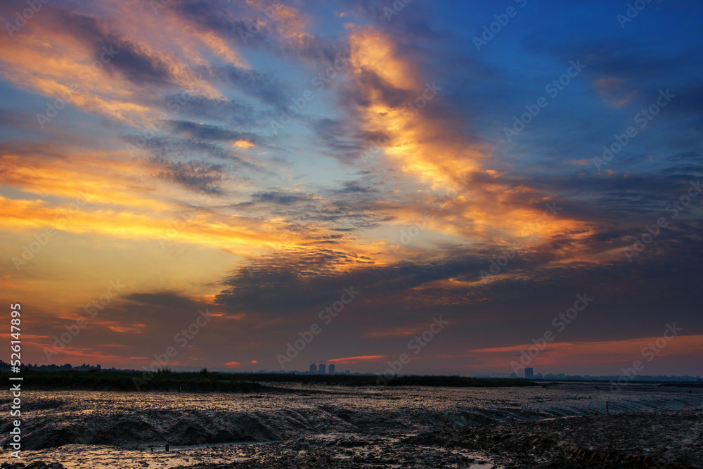 sunset over the field