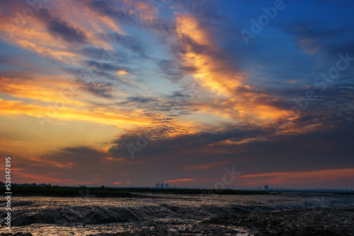 sunset over the field