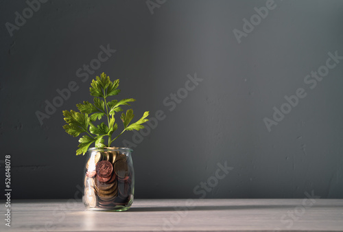 Plant sprout growing inside a glass jar full of coins on wooden background saved or invested for a purpose.