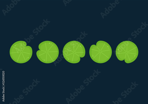 Lily pad pattern vector. wallpaper. free space for text. background.