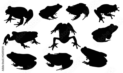 Frog silhouette with various expressions set of 10 vector illustration