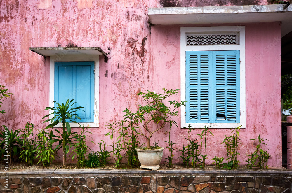 beautiful blue wooden shutters on a pink building and tropical plants