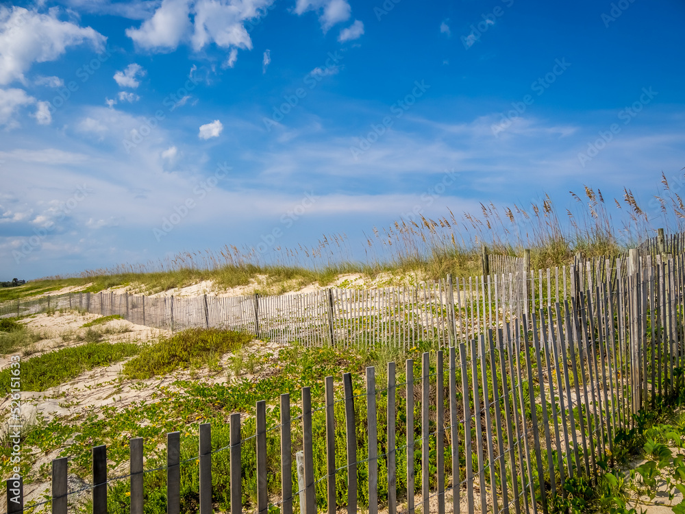 Snow fence in sand dunes on the Atlantic Ocean beach in Washington Oaks Gardens State Park in Palm Coast Florida USA Snow fence in sand dunes on the Atlantic Ocean beach in Washington Oaks Gardens State Park in Palm Coast Florida USA