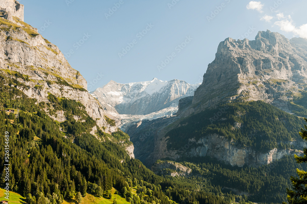 Grindelwald, Unterer Grindelwaldgletscher, Eiger, Eigernordwand, Schreckhorn, Pfingstegg, Alpen, Fiescherhörner, Finsteraarhorn, Berner Oberland, Bergdorf, Sommer, Schweiz