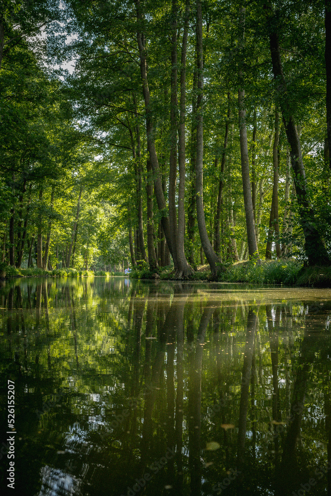 Der Spreewald- ein ganz besonderes Flussdelta Der Spreewald- ein ganz besonderes Flussdelta