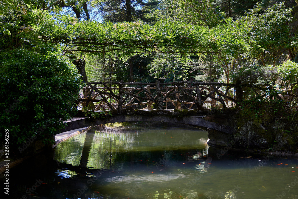 Park. wooden bridge over a pond in a park