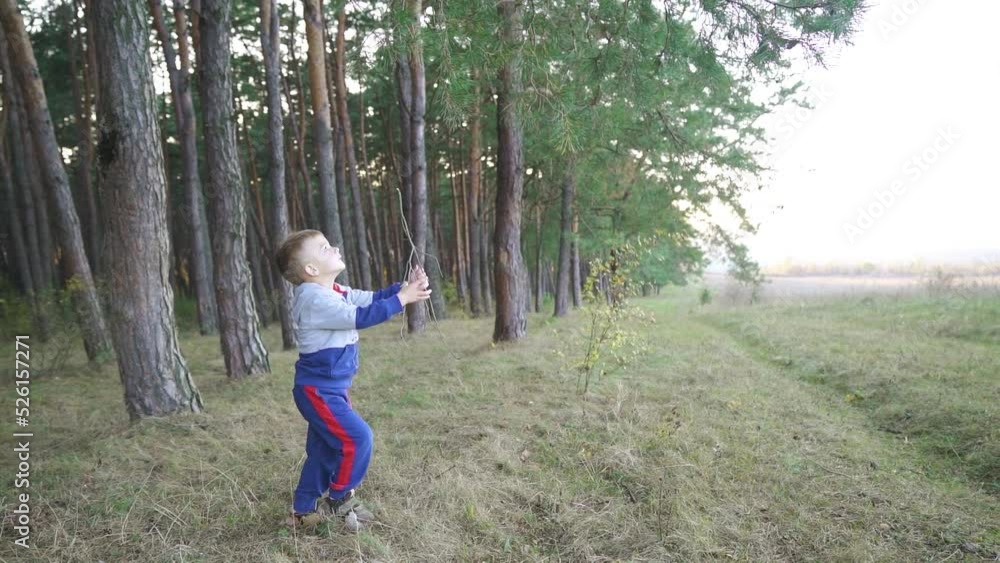 Little boy playing with wood stick outside. Walking in the pine forest Little boy playing with wood stick outside. Walking in the pine forest