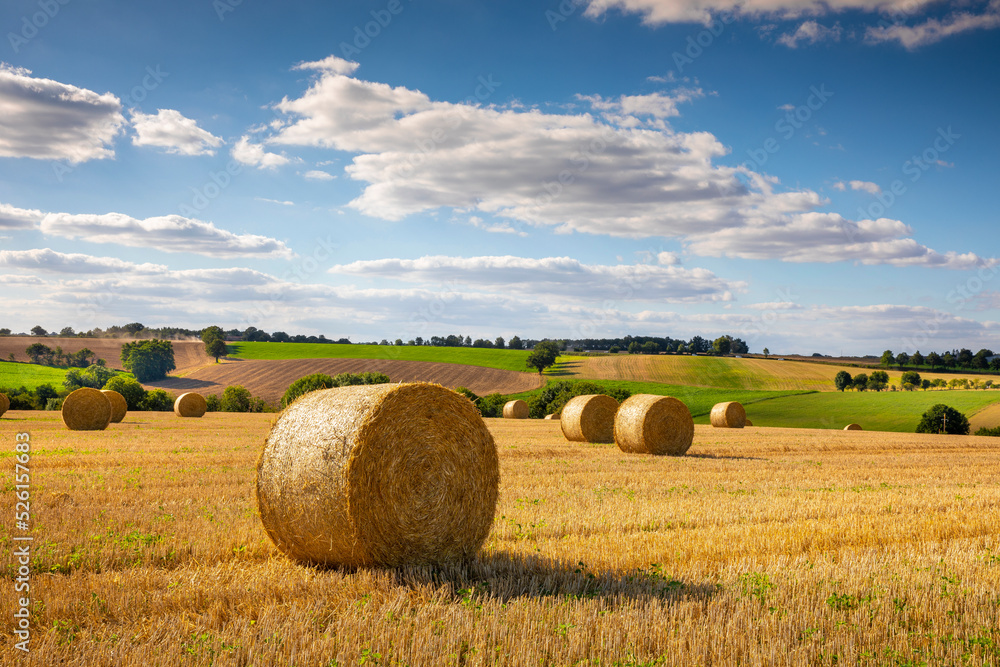 Paysage en été, meule de paille après la moisson du blé dans les champs de France.