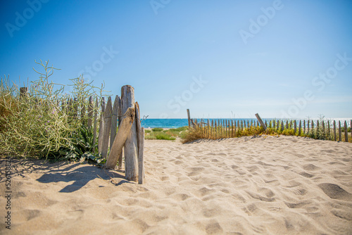Fototapeta Naklejka Na Ścianę i Meble -  Chemin menant à la plage au milieu du sable et des dunes en France.