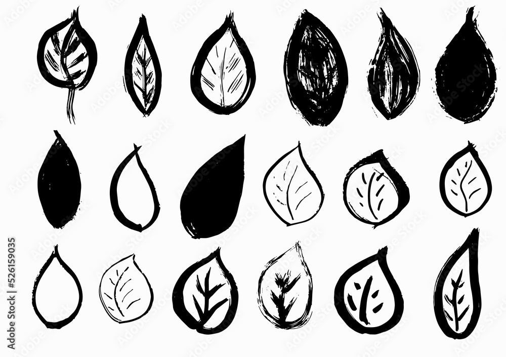 Grunge dry brush leaves set, free hand, vector, isolated Grunge dry brush leaves set, free hand, vector, isolated