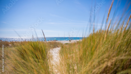 Fototapeta Naklejka Na Ścianę i Meble -  Bord de mer et paysage de dune sur les plages de France.