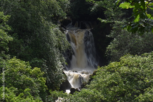 devils bridge waterfall in ceredigion surrounded by forest
