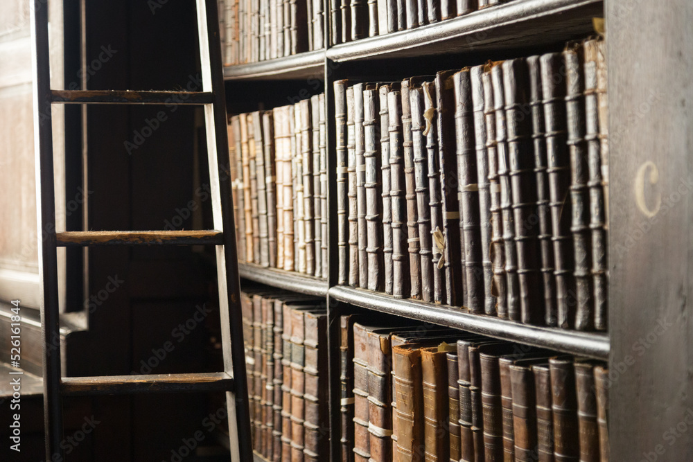 Concept of collecting knowledge. Detail view of large old books on wooden shelves in a library.