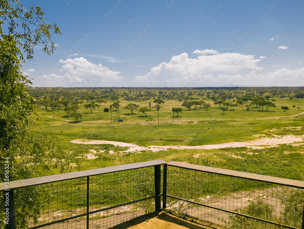 Landscape of the Tarangire National Park,  Manyara Region,  Tanzania,  East Africa. Tarangíre river during rain season.