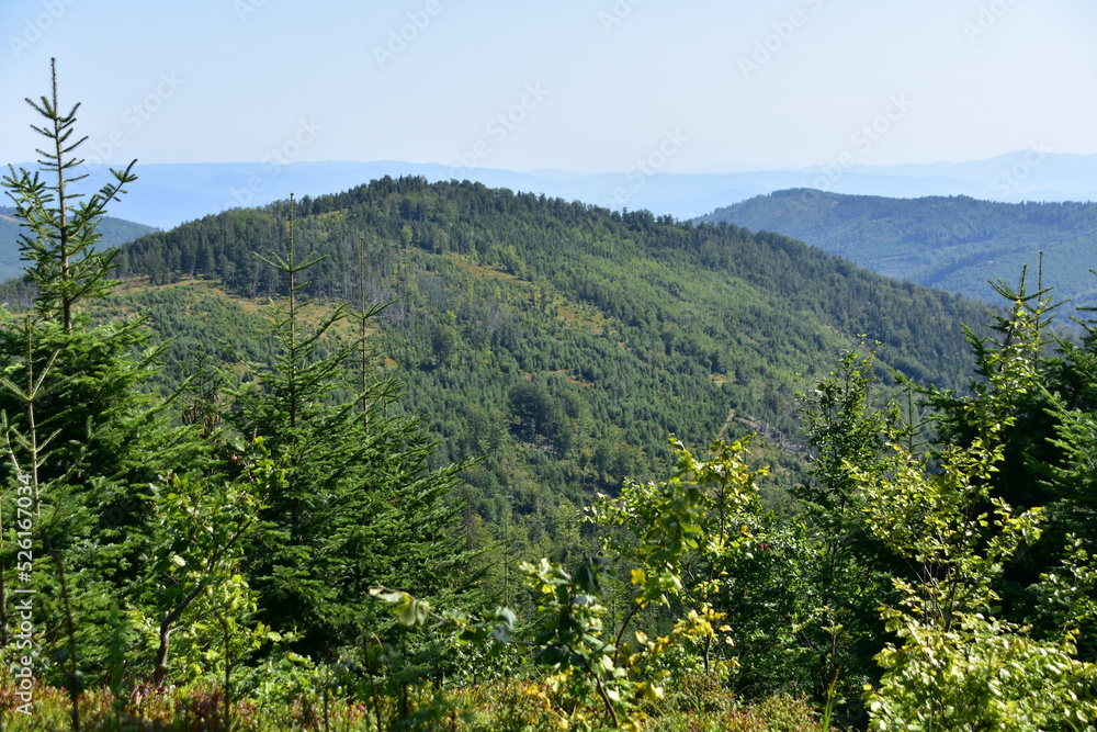 Beskid Śląski, góry, szlak, lato, krajobraz