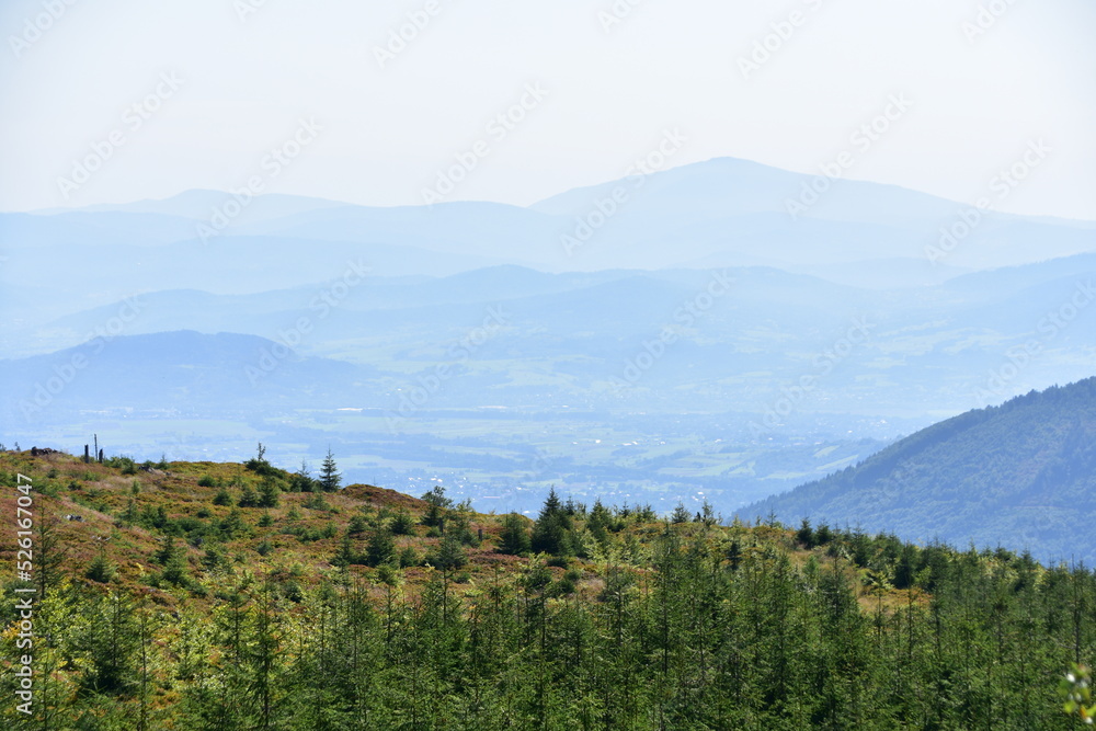 Beskid Śląski, góry, szlak, lato, krajobraz