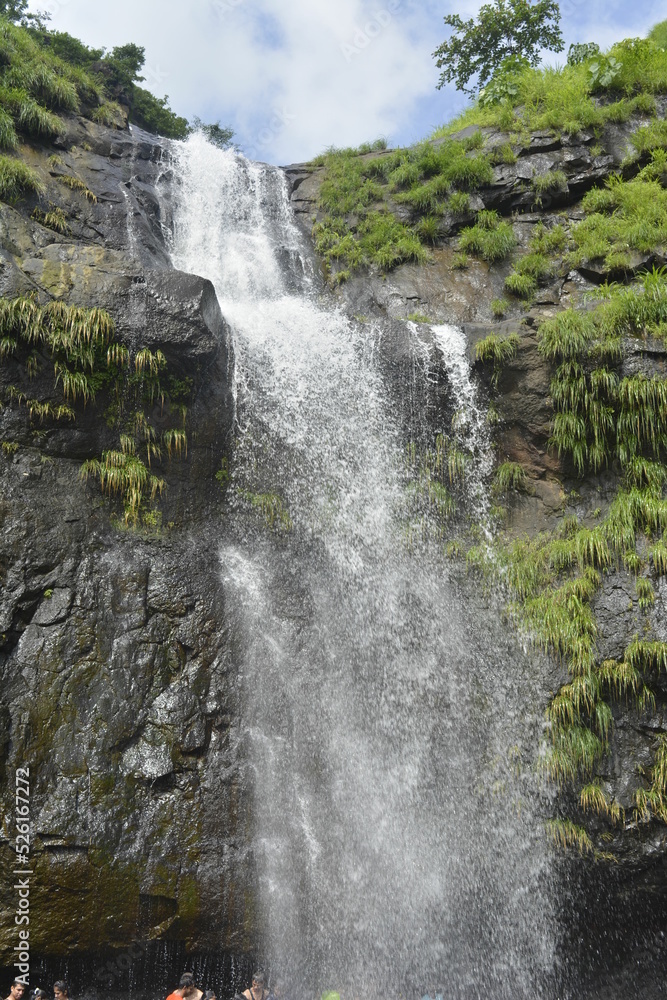 Obraz premium waterfall in the forest