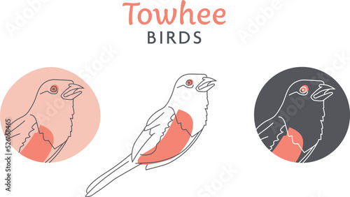 A vector towhee bird logo and icon for bird watching ornithology photo