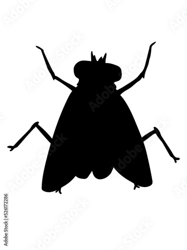 Silhouette Kleine Hausfliege Insekt 