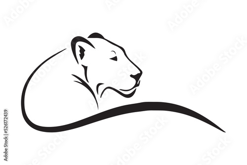  simple illustration of a lioness. big cat. vector. a lion. wild animal. black and white lioness