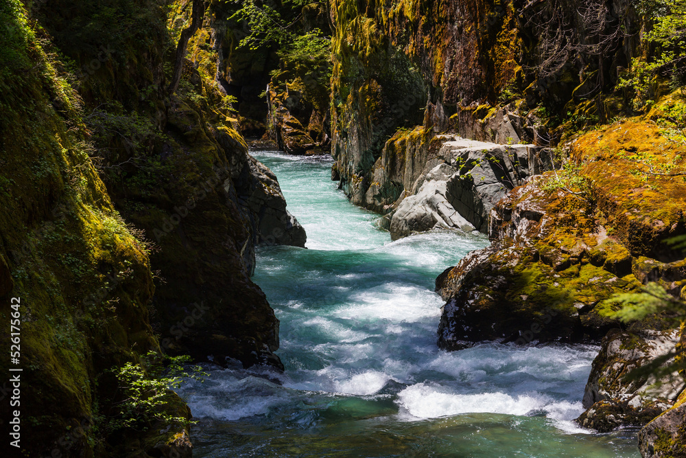 Fototapeta premium Waterfall in Rainier