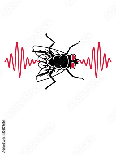 Puls Stubenfliege kleine Hausfliege 