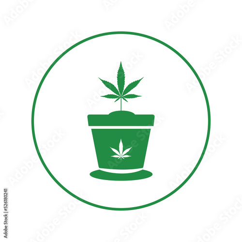 Drug plant on tub icon | Circle version icon |