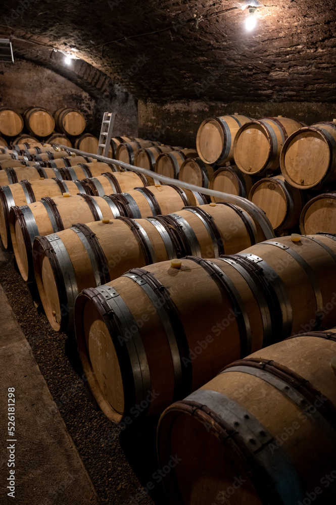 Stages of wine production from fermentation to bottling, visit to wine cellars in Burgundy, France. Aging in wooden barrels.
