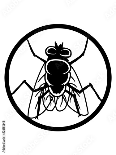 Logo Stubenfliege kleine Hausfliege 