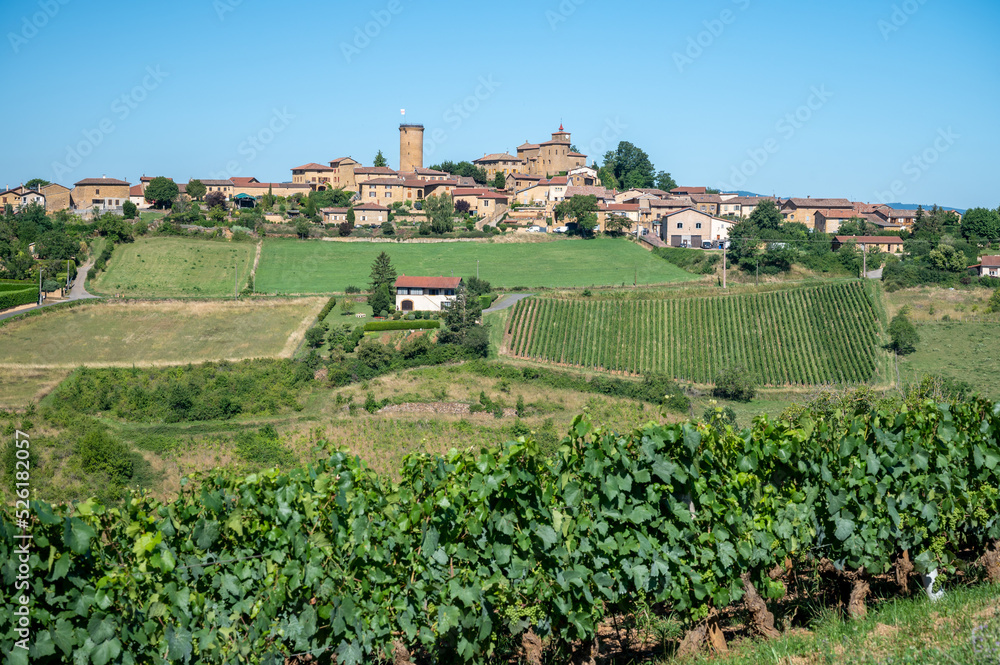 Landscape with vineyards near beaujolais wine making village Val d'Oingt, gateway to Beaujolais Wine Route and hilly landscapes of the Pierres Dorées, France