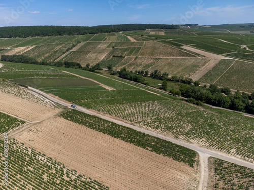 Aerial view on Chablis Grand Cru appellation vineyards with grapes growing on limestone and marl soils, Burdundy, France