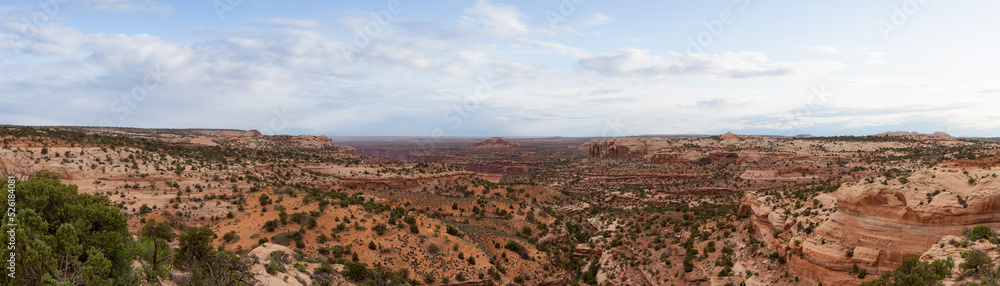 Scenic Panoramic View of American Landscape and Red Rock Mountains in Desert Canyon. Colorful Sky Art Render. Canyonlands National Park. Utah, United States. Nature Background Panorama
