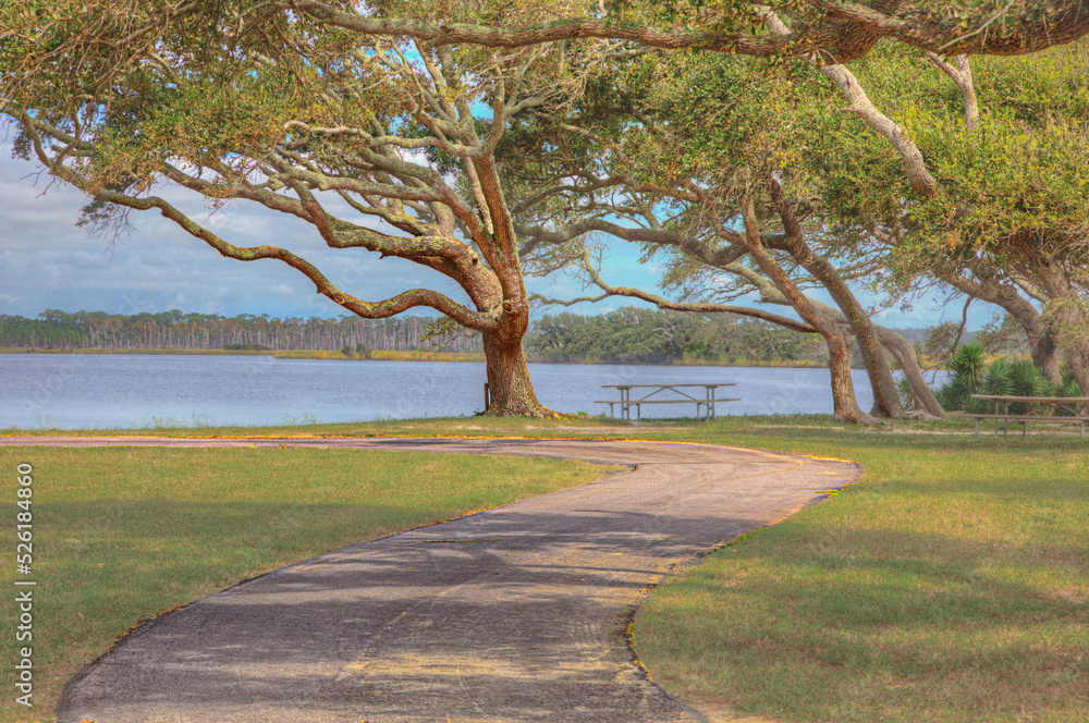Picnic Table Under the Live Oaks Lake View Trail Gulf State Park Gulf Shores Alabama A picnic