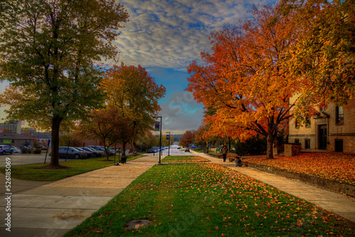 Campus Sidewalk 11 Street Rolla Missouri   Photo taken on November 2, 2021  A beautiful autumn morning down a sidewalk on the campus of Missouri University of S&T in Rolla Missouri.   