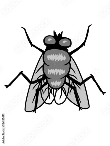 Kleine Hausfliege Insekt Design 