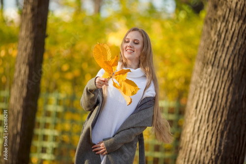 Attractive happy woman holding yellow autumn leaves in her hands. Portrait of a pretty young woman with light brown hair on a background of golden foliage in the park. Joyful autumn mood. Fall season. photo