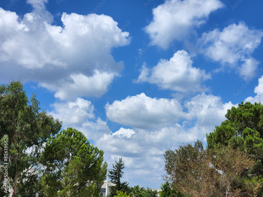 Cumulus clouds have flat bases and are often described as 