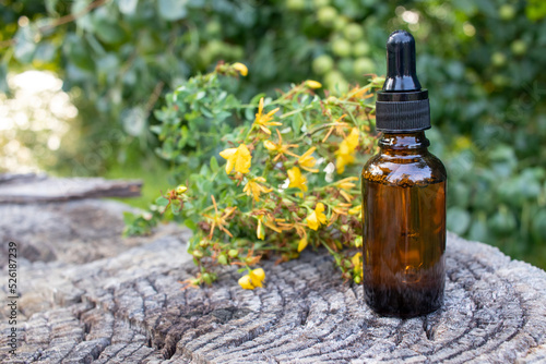 Amber glass dropper bottle of face serum or essential oil and Hypericum medicinal plant yellow flowers on a stump wooden background outdoor. Natural organic spa cosmetic concept