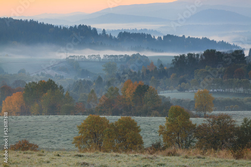Fototapeta Naklejka Na Ścianę i Meble -  frosty autumn morning in the meadow