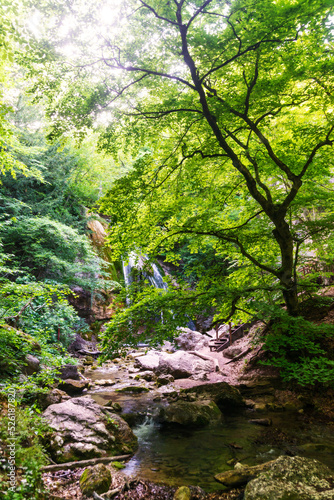 Beautiful waterfall in the summer forest