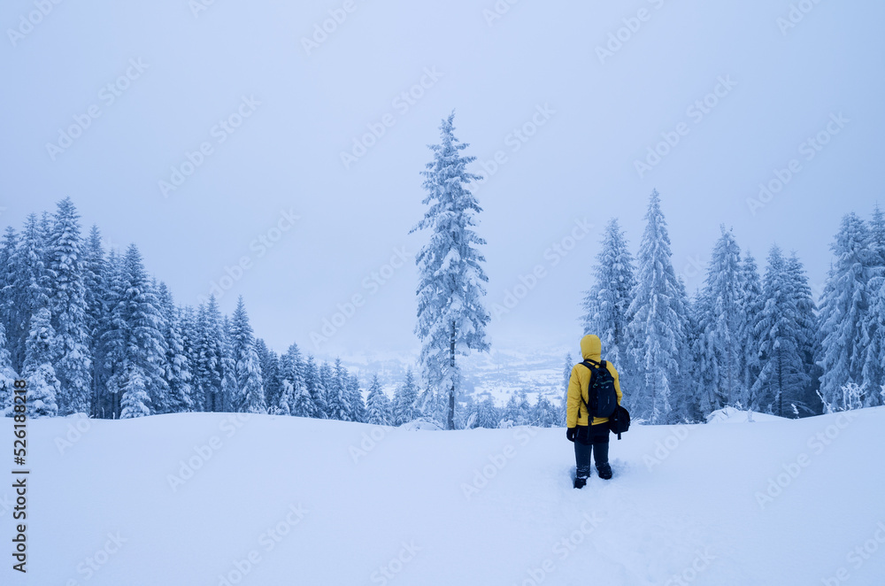 tourist in a yellow jacket in a snow-covered forest