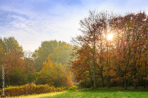 Autumn landscape foggy morning with sun rays © Sander Meertins