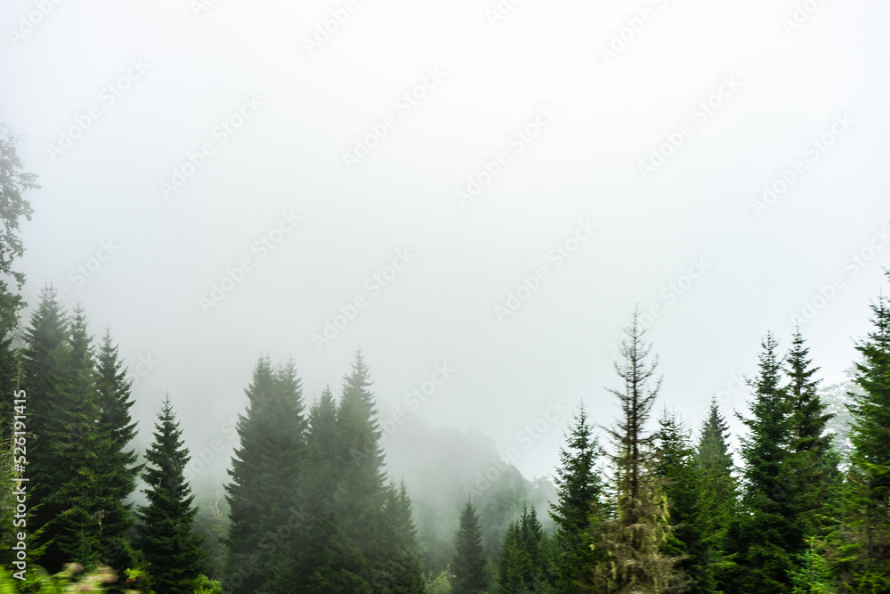 Caucasus mountain in georgian region Guria