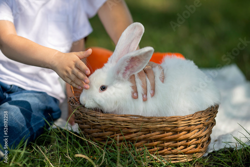 white rabbit in a basket